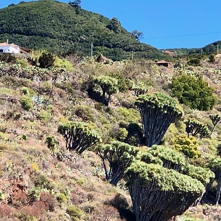 Casa Rural Los Barranquitos Garafía エクステリア 写真